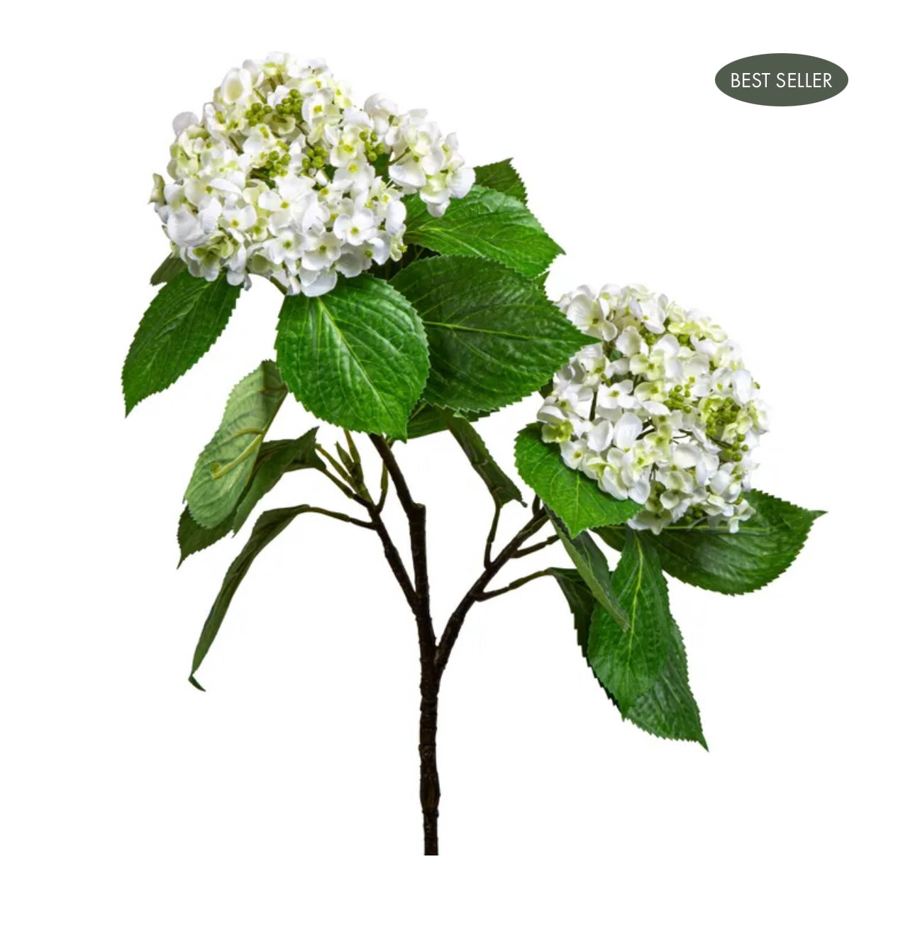 HYDRANGEA WITH LEAVES 90CM WHITE