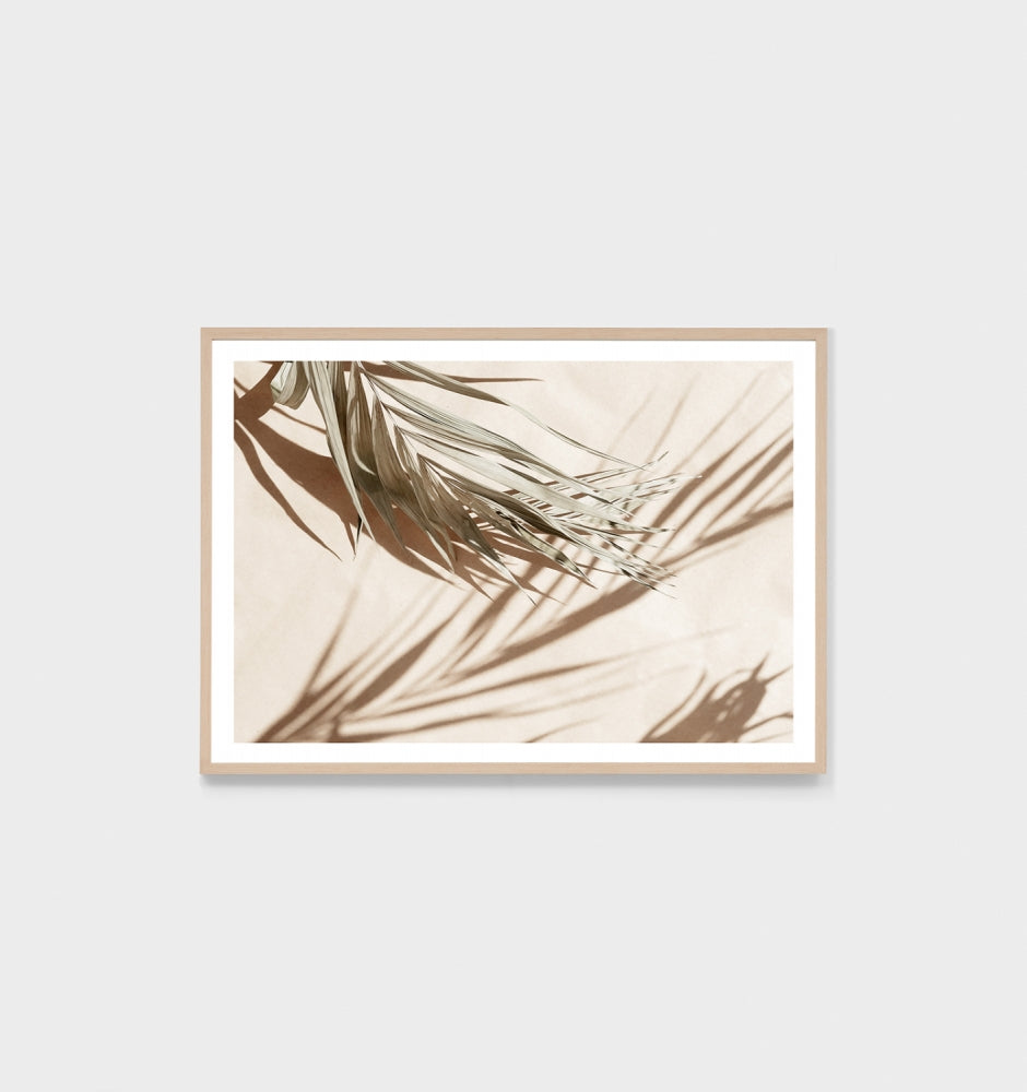 Desert Shade Print by Middle of Nowhere