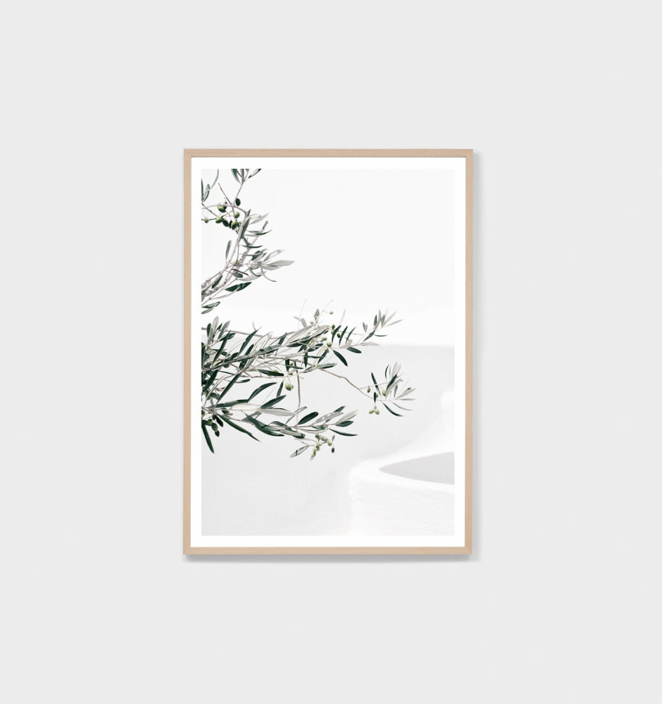 Olive Courtyard Print by Warranbrooke