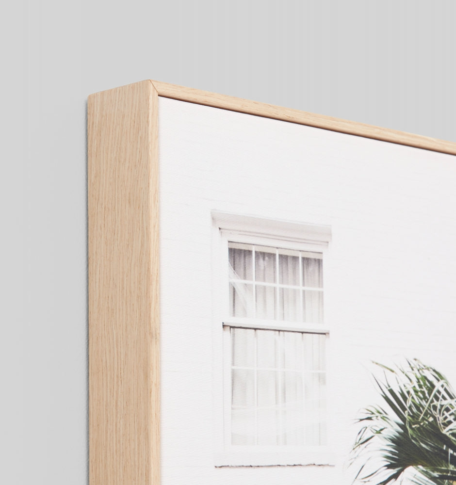 Palm Resort Framed Canvas by Middle of Nowhere