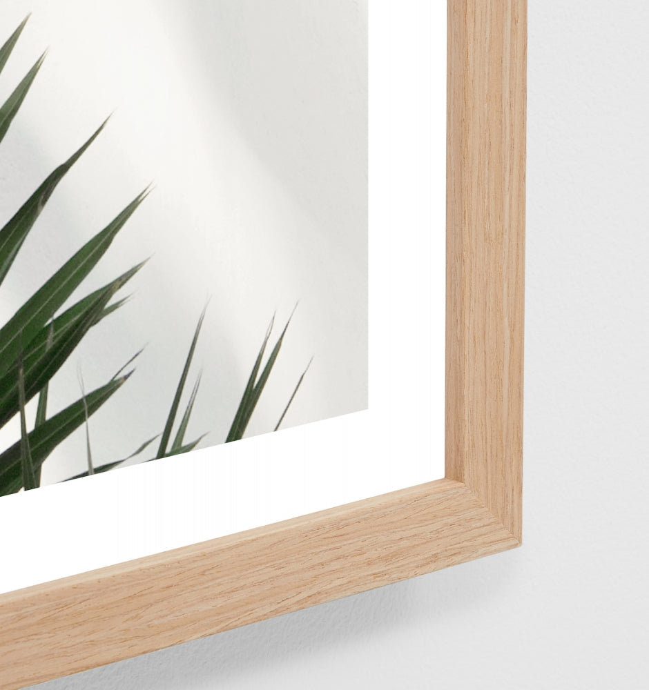 Palm Wall Print by Middle of Nowhere