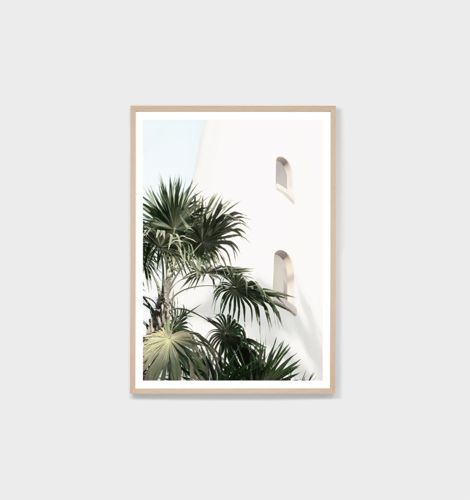 Palm Wall Print by Middle of Nowhere