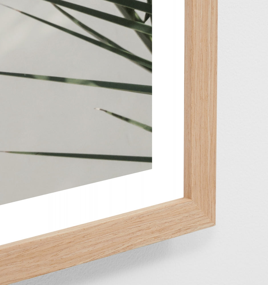 Paradiso Palm Print by Middle of Nowhere
