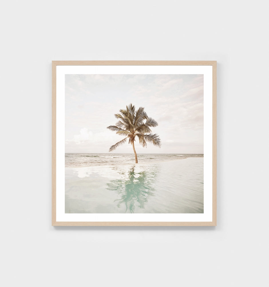 Poolside Palm Print by Middle of Nowhere