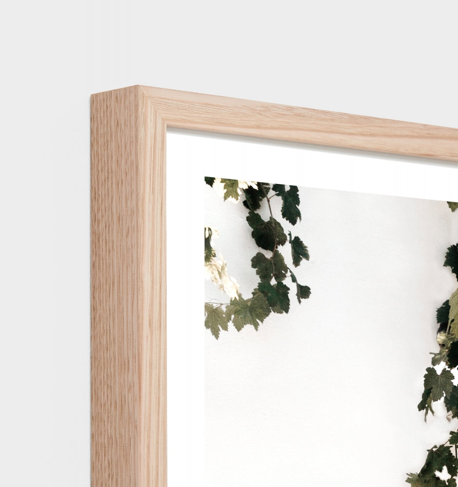 Summer Vines Print by Middle of Nowhere