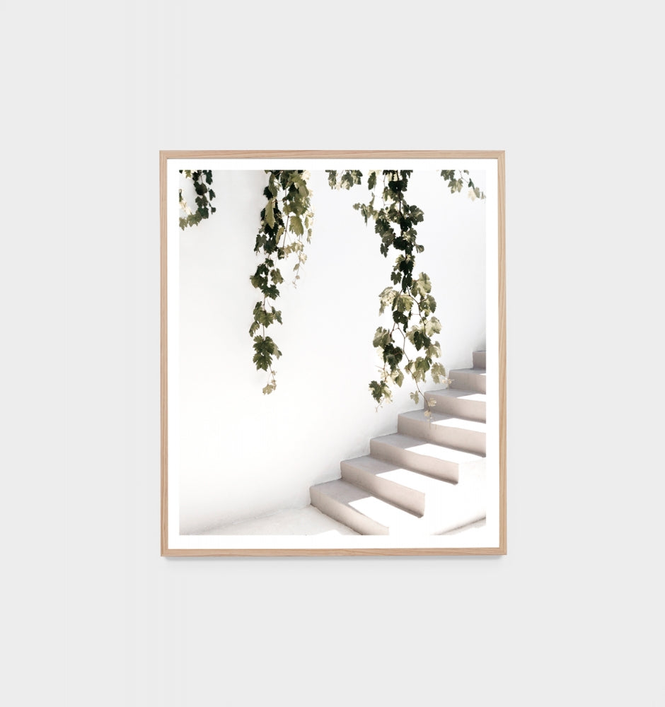 Summer Vines Print by Middle of Nowhere