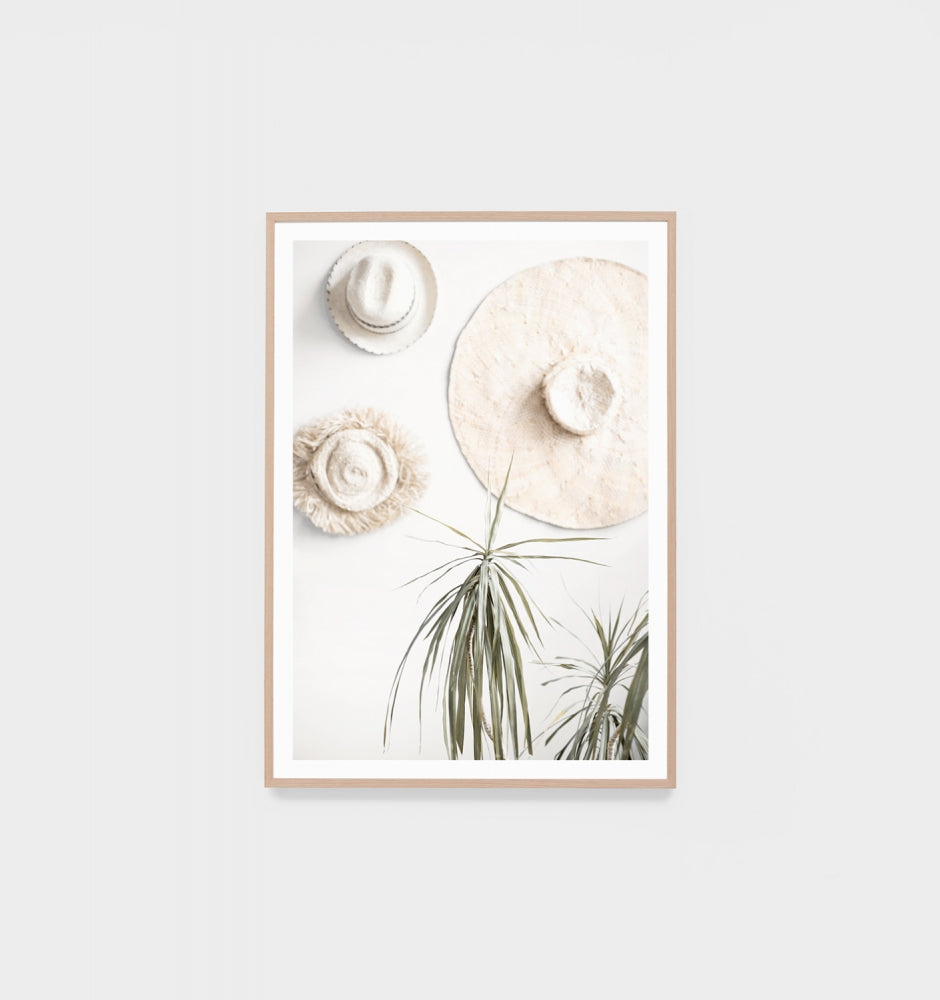 Sunhat Collection Print by Middle of Nowhere
