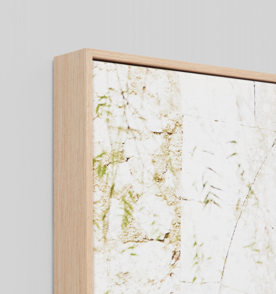 Villa Door Natural Framed Canvas by Middle of Nowhere