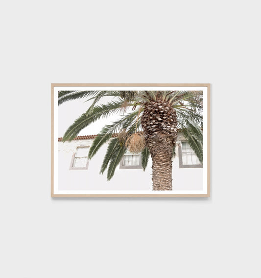 European Palm Print
by Middle of Nowhere