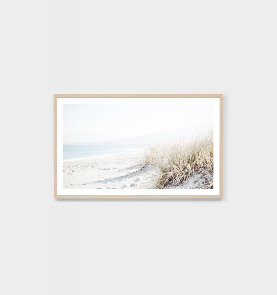 Beach Grass Print by Warranbrooke