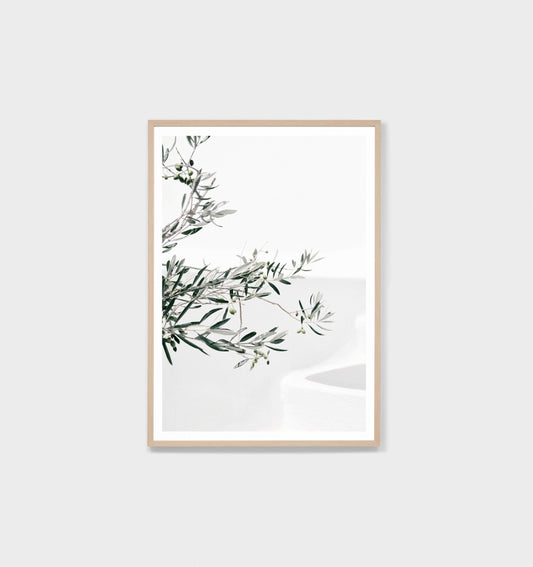 Olive Courtyard Print by Warranbrooke