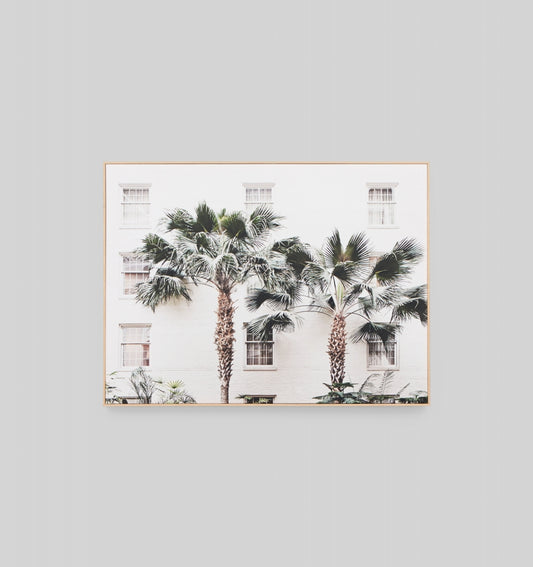Palm Resort Framed Canvas by Middle of Nowhere