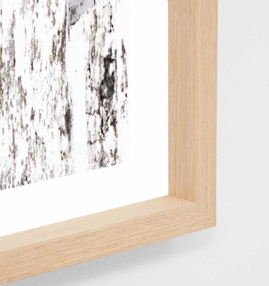 Palm Window Print by Middle of Nowhere