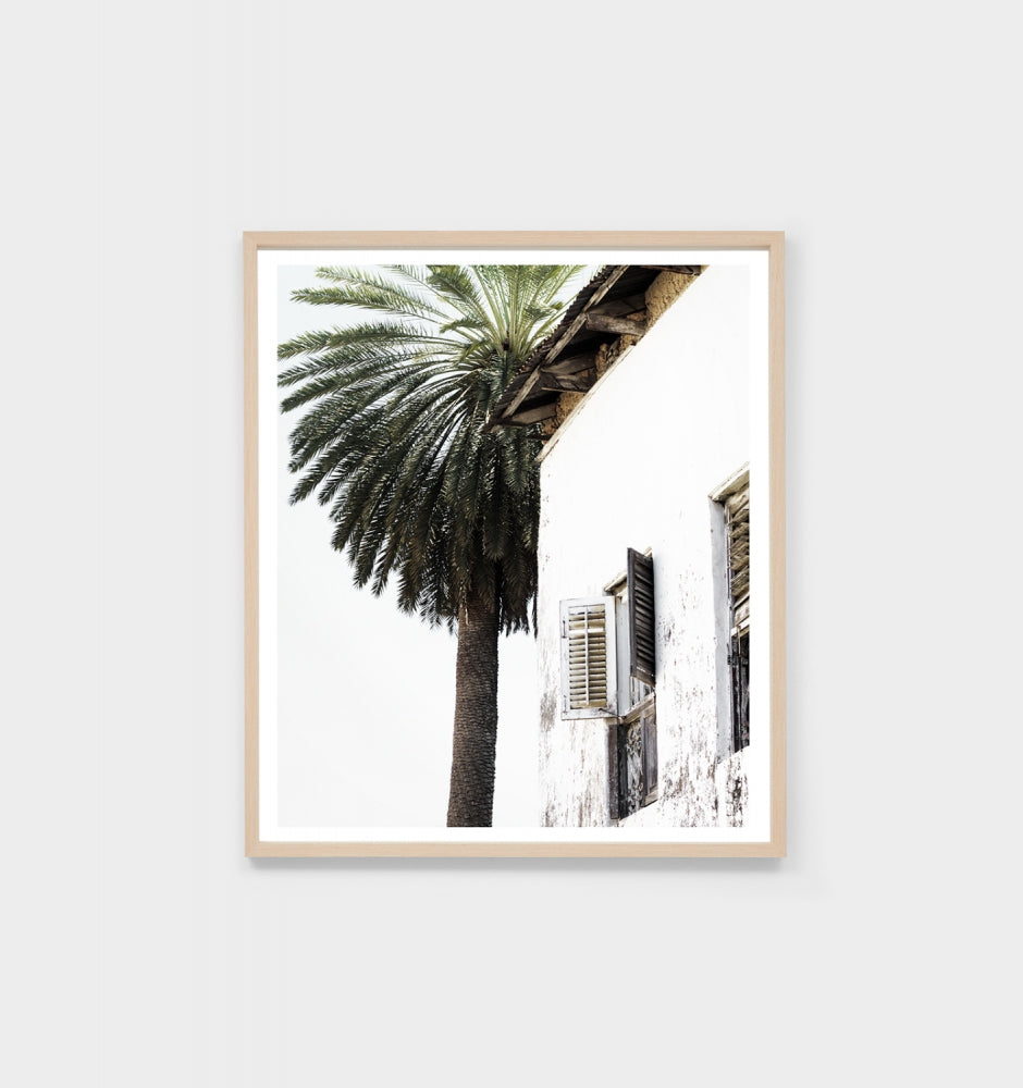 Palm Window Print by Middle of Nowhere
