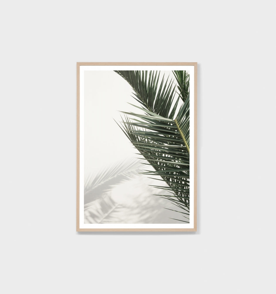 Paradiso Palm Print by Middle of Nowhere