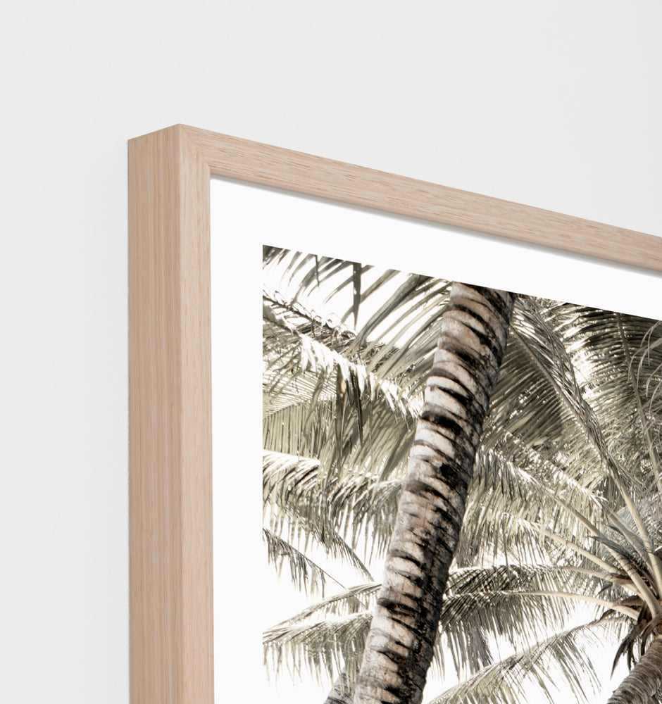 Peaceful Palms Print by Middle of Nowhere