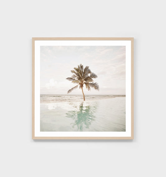Poolside Palm Print by Middle of Nowhere