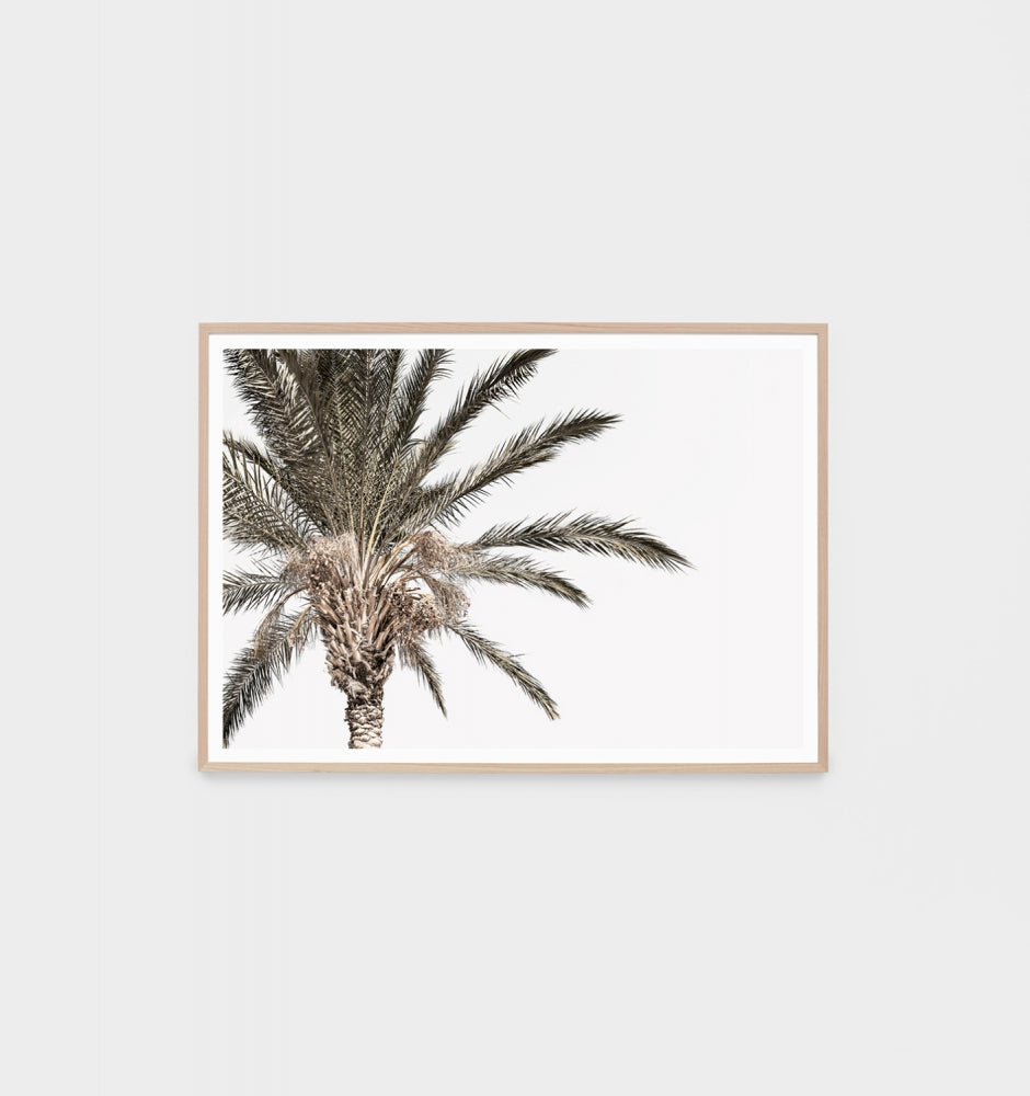 Rustic Palm Print by Middle of Nowhere