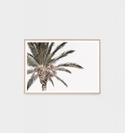 Rustic Palm Print by Middle of Nowhere