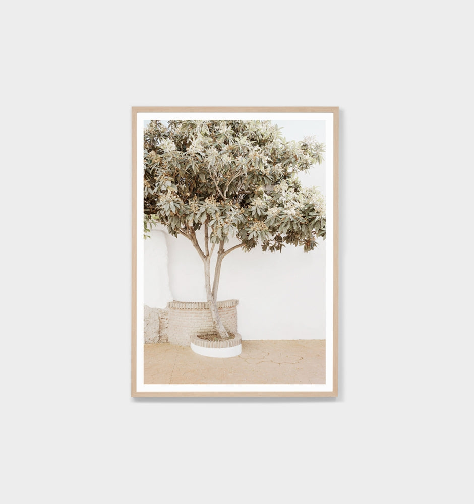 Spanish Shade Print by Middle of Nowhere