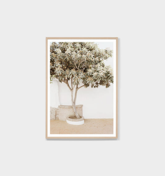 Spanish Shade Print by Middle of Nowhere